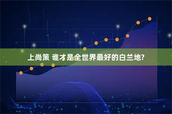 上尚策 谁才是全世界最好的白兰地?